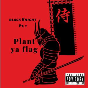 Black Knight Pt. 1 Plant Ya Flag (feat. Profit Da Problem, Vonchalant & Johnny Ciggs)