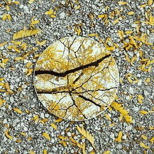 在云端写下回答