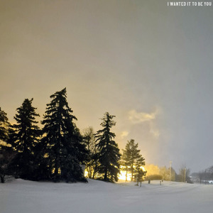 I Wanted It to Be You