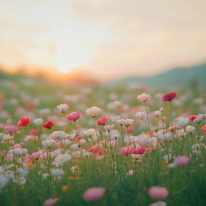 망월사 가는 길에