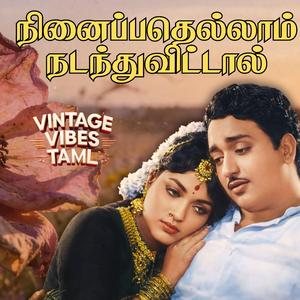 Ninaipathelam Nadanthuvittal (feat. diron fernando)