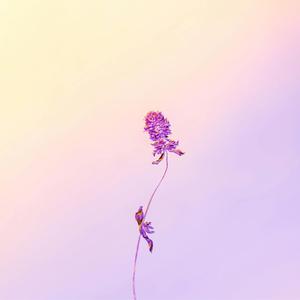 The Light You Hold (Cabe Edit)