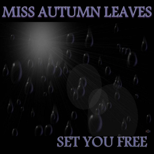 Set You Free (Radio Edit)