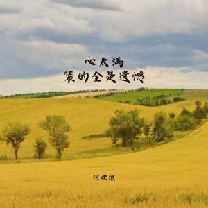 心太满装的全是遗憾