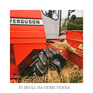Vi skull ha verri venna