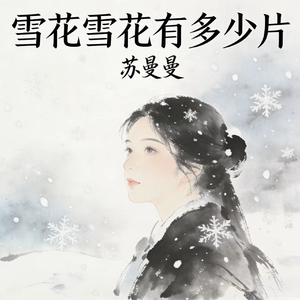 雪花雪花有多少片 (只愿我们从未曾擦肩)