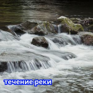 Водные Сны