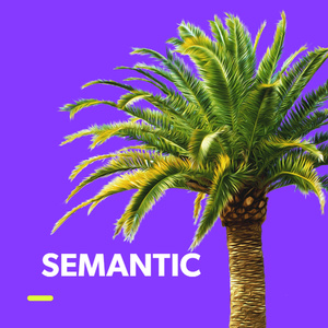 Semantic