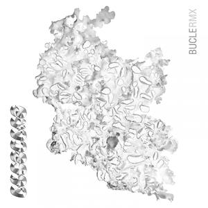 Radical Trust (Raido Remix)