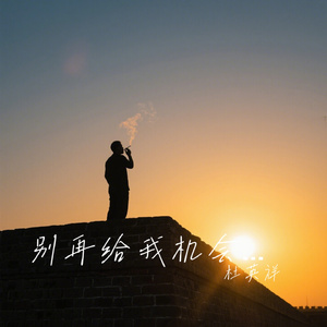 别再给我机会了