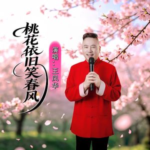 桃花依旧笑春风