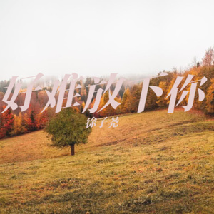 好难放下你