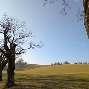 marty mcfly (feat. jelias)