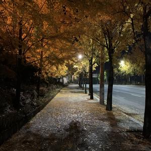 안아줘 (Feat. 9reen.T) (Prod. Hanabi boi)