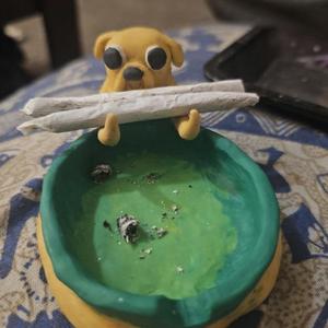 rip wifiskeleton (medicine)