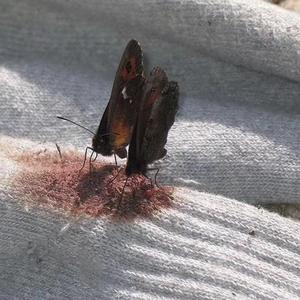 在遇見我之前你都在做什麼呢