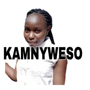 Kamnyweso