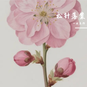松针落案