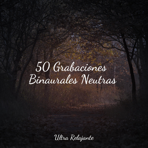 Sueños Curativos