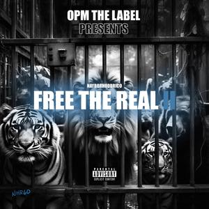 Major (feat. Baby Shoota)