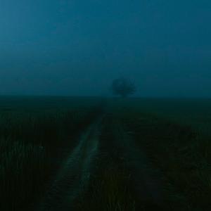 I Feel Like I'm Losing You