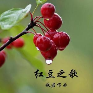 红豆之歌（陈燕）