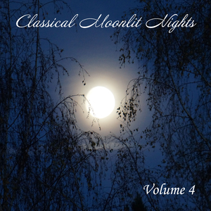 Concerto for Violin and Orchestra in D Major, Op. 61 (Part 1)