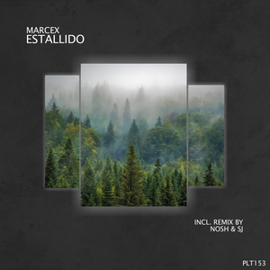 Estallido (Stream Edition)