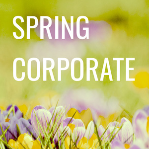 Spring Corporate