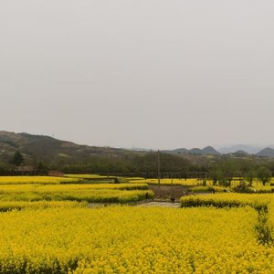 像蝴蝶破茧飞翔