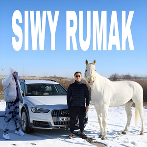 Siwy Rumak