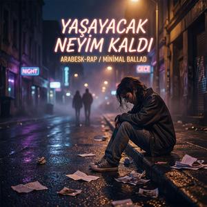Yaşayacak Neyim Kaldı