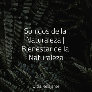 Amanecer en La Arenosa Playa