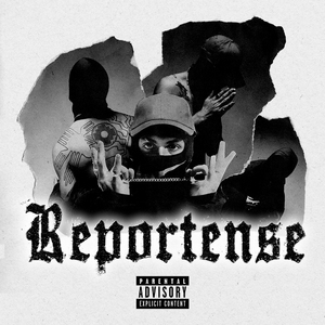 Reportense