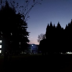 小丑之梦火未熄