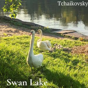 Swan Lake: Russian Dance (Violin Solo)