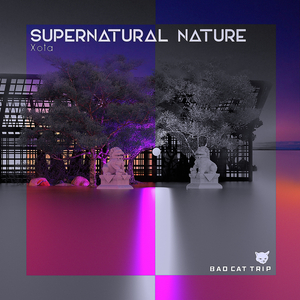 Supernatural Nature