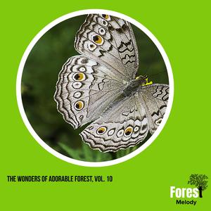 Colorful Rattle Snake