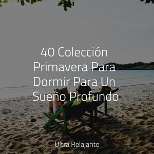 Florecimiento De La Vida