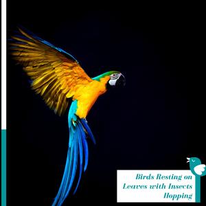 Falling Rain Aftermath