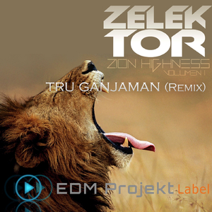 Tru Ganjaman (Killa Bong Remix)