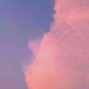 Not My Wrong （Cover 万赛文OneBoi）