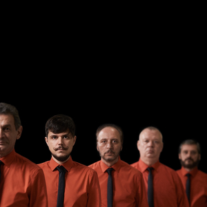 Paru-n Cap Mi-a-Ncaruntit