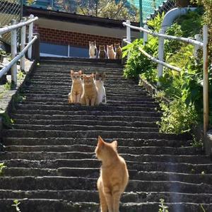 岁月如歌（钢琴版）