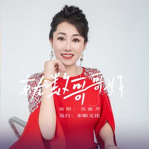 【高淑琴】就数哥哥好【DJ版伴奏】