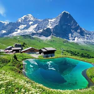 Golden Horizon Awakening