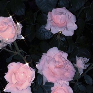 红色高跟鞋(原唱：蔡健雅)