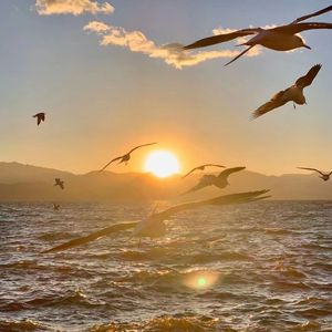 落『prod by Lv9』