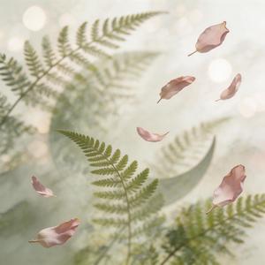 白羊星（我是撞碎冰川勇敢的烈火）