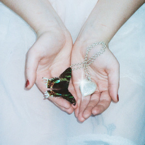 Wings Of A Butterfly